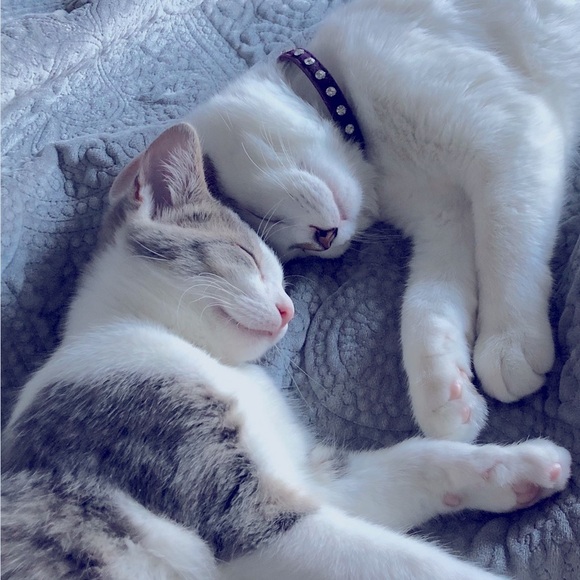 Meet your Posher, Rachael - Picture 6 of 14